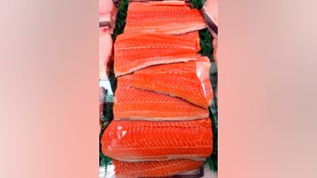 FDA approves first genetically modified salmon for consumption