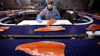GMO salmon could be headed to supermarket near you