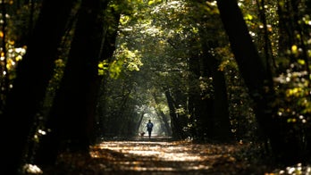 Pets can help owners manage mental illness