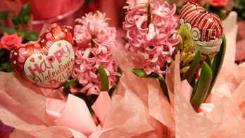 ӣ����Ƶ Poll: Even Cupid is getting political