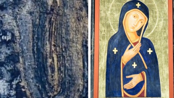 Crowds flock to see ‘Virgin Mary’ image in a tree