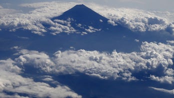 'Suicide Forest' once again in the news