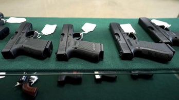 Ryan suggests House won't vote on Dems' gun-curb proposals