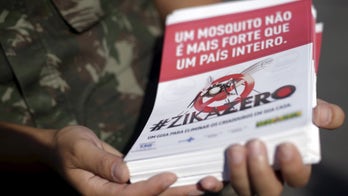 41 US service members, 1 pregnant woman, have contracted Zika overseas