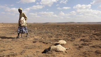 Somalia: 110 dead from hunger in past 48 hours in drought