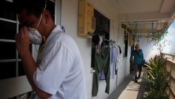 Locally transmitted Zika virus infects 56 in Singapore