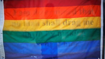Court: Violence law unfair to gay South Carolina couples