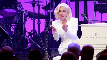Lady Gaga stops concert to check on fan who was hit in the face