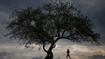Pushing outside comfort zone key to high intensity interval training, experts say