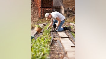 Veterans sprout new careers through the Farmer Veteran Coalition