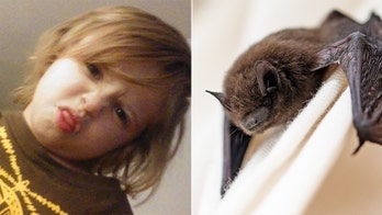 Florida boy, 6, dies from rabies after being scratched by sick bat