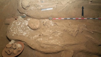 Ancient tomb of gold worker found along Nile river