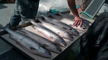 Fats from fish and plants may help older adults live longer