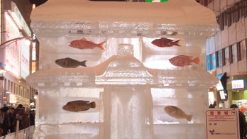 Annual Japanese snow art festival uses real frozen fish in controversial display