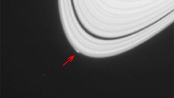 Saturn may have given birth to a baby moon, astronomers say