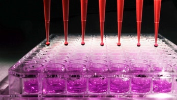 FDA places some Seattle Genetics drug trials on hold after 4 deaths