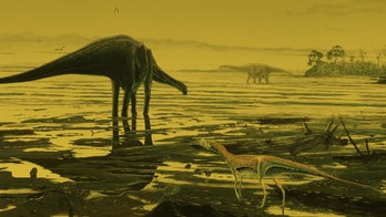 These dinosaurs liked to get their feet wet