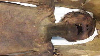 Mystery of 'screaming Egyptian mummy' which has baffled archaeologists for years finally resolved