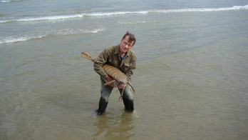 Giant ancient sea scorpions had bad eyesight