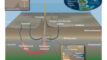 Fossils show how ancient seafloor gave rise to life