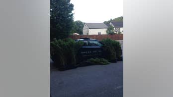 New Hampshire police offer funny advice after seizing 25 marijuana plants