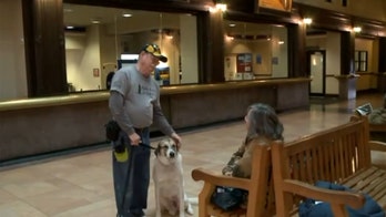 Veteran said he was asked to leave post office because he didn't have his service dog's ID