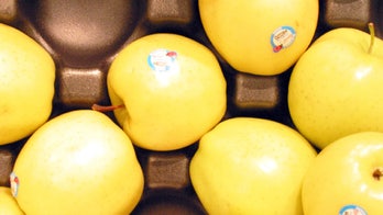 Trade group to introduce another ‘natural’ food label