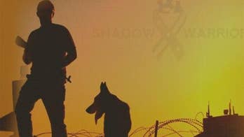 Shadow Warriors Project