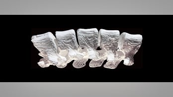 Scientists fix fractures with 3-D printed synthetic bone