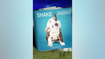 'Shake Puppies' by Carli Davidson