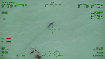 Sharks spotted off Southern California coast prompt warning for beachgoers