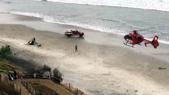 Boy, 13, attacked by shark in San Diego County during diving trip, suffers serious injuries