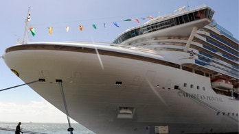 Princess Cruises ship returns to Houston port after nearly 200 fall ill