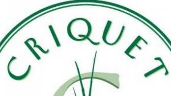 Criquet Shirts Discount for 'Fox & Friends' Viewers