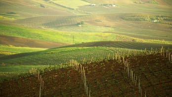 Tasting wine from my homeland of Sicily