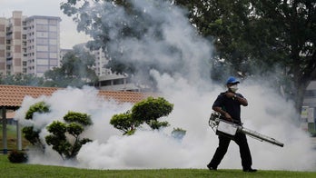 Accurate Facebook posts about Zika virus were plentiful, not popular