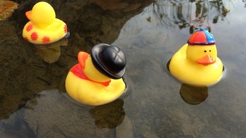 Let's sing the praises of the 'odd ducks' out there