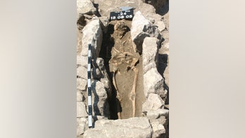 Bones unearthed near ancient city of Troy yield clues of deadly infection