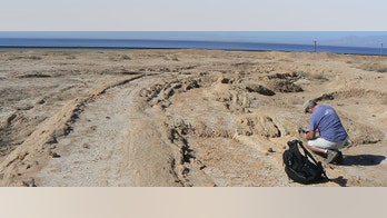 New fault discovered in southern California near the San Andreas