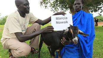 Goats for the Old Goat