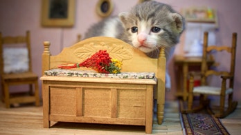 How to make a small room look larger