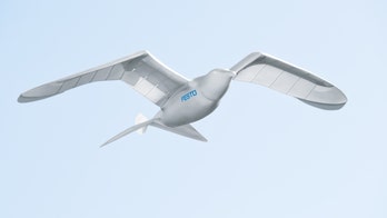 China looks to bolster surveillance network with birdlike drones