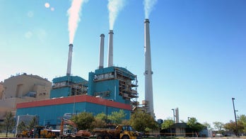 Dems get second helping of carbon pain