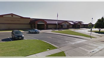 Separate bear, cougar sightings reported in same Utah city