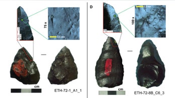 Stone-tipped spears predate existence of humans by 85,000 years