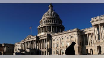 FOX NEWS FIRST: Senate passes $1.3 trillion spending bill; Millions expected at weekend gun control marches