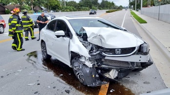 It wasn't 'itsy bitsy,' but spider causes Florida car crash