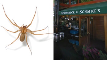 McCormick and Schmick's manager suing for $999,999 after getting bit by venomous spider