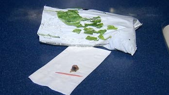 Florida woman finds bird skull in bag of spinach