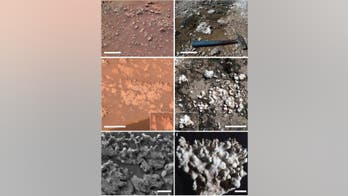 Did NASA Mars Rover find a signature of past life?